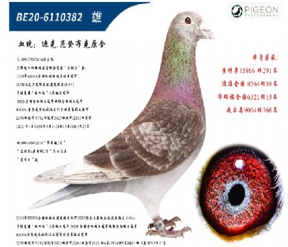 Ͽ˷ǲ˺üt̖(ho)ֱؠֱŮ