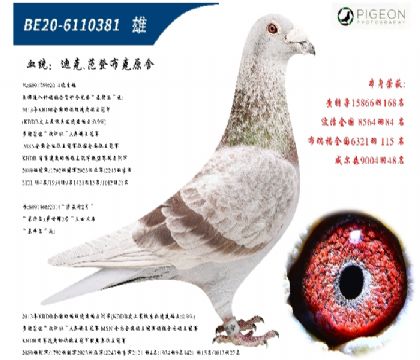 Ͽ˷ǲˣüt̖(ho)ֱؠֱŮ