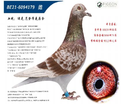 Ͽ˷ǲ˻ؠ006ֱŮ(zhn)Nƣ