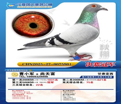 国力秋棚决赛冠军