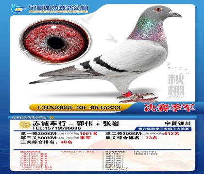 国力秋棚决赛季军