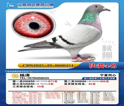 国力秋棚决赛4名
