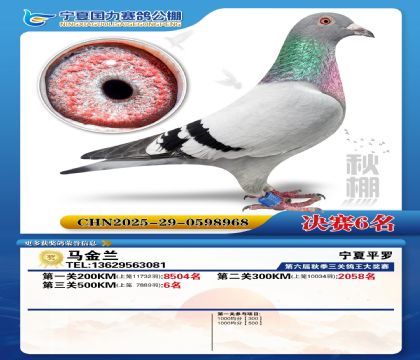 国力秋棚决赛6名