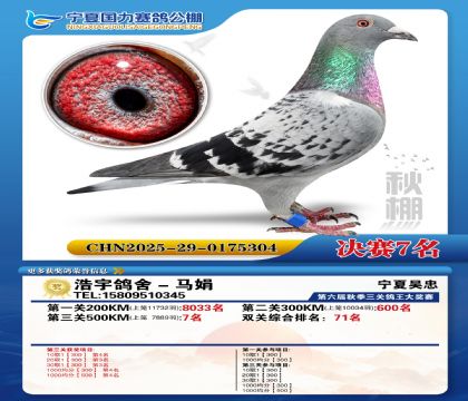 国力秋棚决赛7名