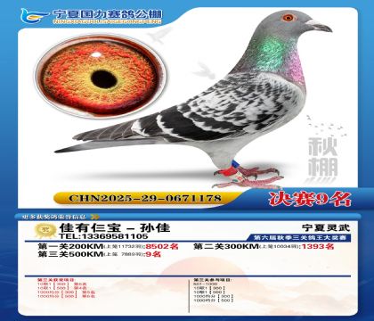 国力秋棚决赛9名