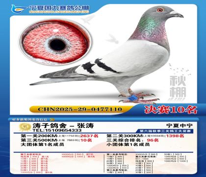 国力秋棚决赛10名