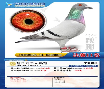 国力秋棚决赛11名