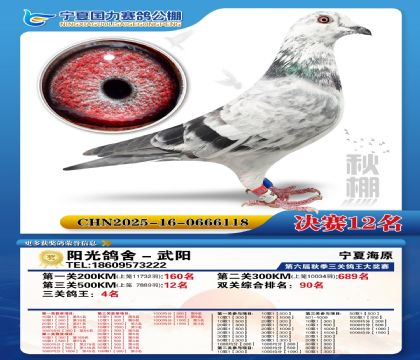 国力秋棚决赛12名