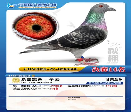 国力秋棚决赛14名