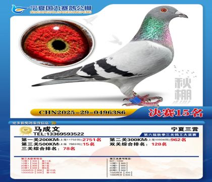 国力秋棚决赛15名