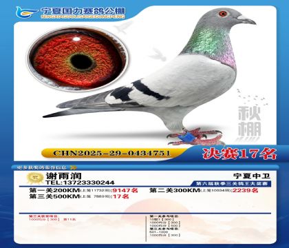 国力秋棚决赛17名