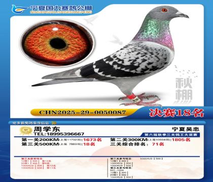 国力秋棚决赛18名