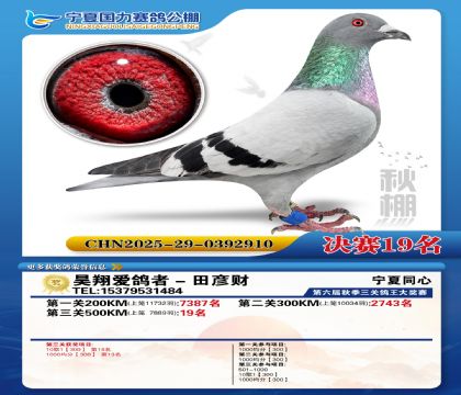 国力秋棚决赛19名