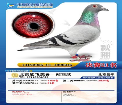 国力秋棚决赛21名