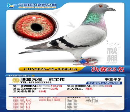 国力秋棚决赛22名