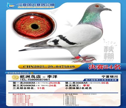 国力秋棚决赛24名