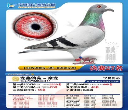 国力秋棚决赛27名