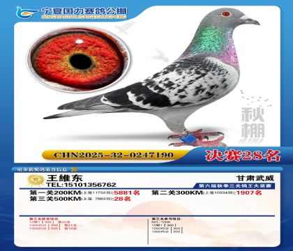 国力秋棚决赛28名