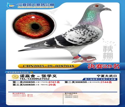 国力秋棚决赛29名