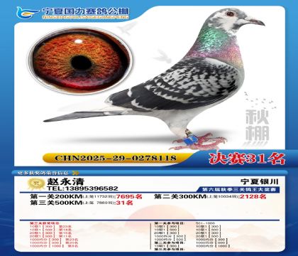 国力秋棚决赛31名