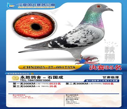 国力秋棚决赛35名