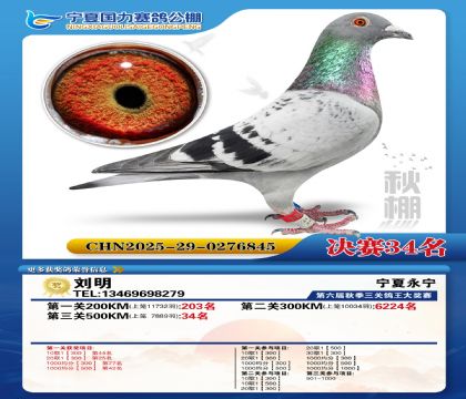 国力秋棚决赛34名