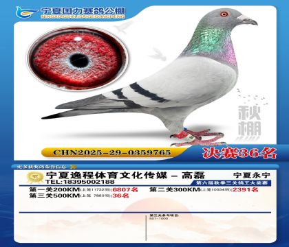 国力秋棚决赛36名