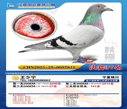 国力秋棚决赛37名