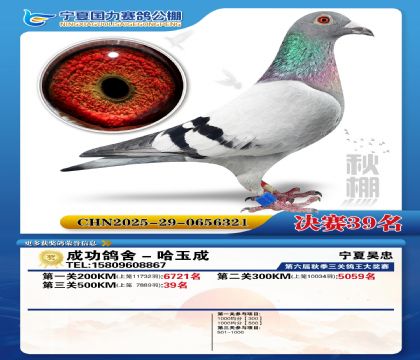 国力秋棚决赛39名