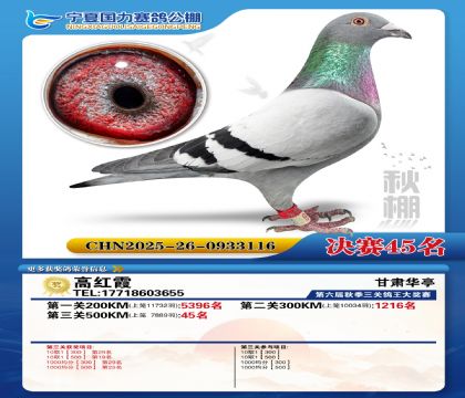 国力秋棚决赛45名