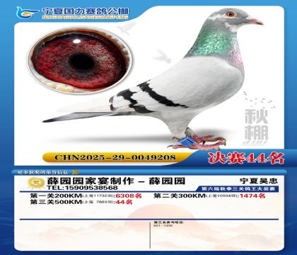 国力秋棚决赛44名