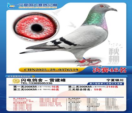 国力秋棚决赛46名