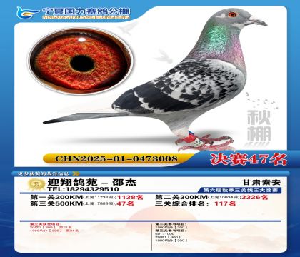 国力秋棚决赛47名