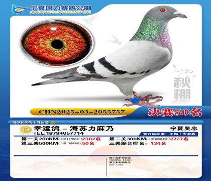 国力秋棚决赛50名