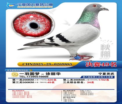 国力秋棚决赛49名