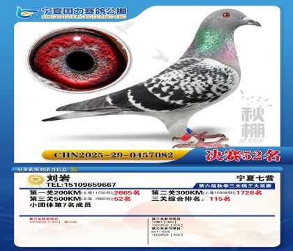 国力秋棚决赛52名