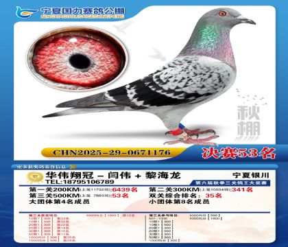 国力秋棚决赛53名