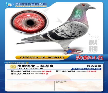 国力秋棚决赛54名