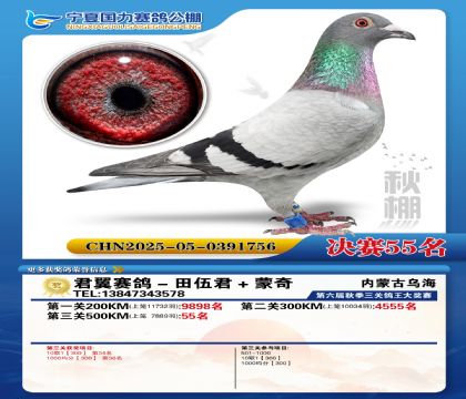 国力秋棚决赛55名