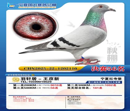 国力秋棚决赛56名