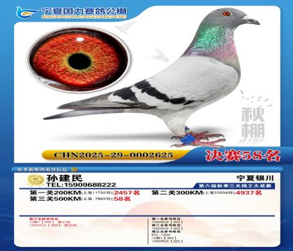 国力秋棚决赛58名