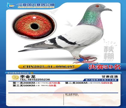 国力秋棚决赛59名