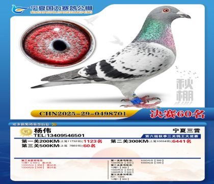 国力秋棚决赛60名