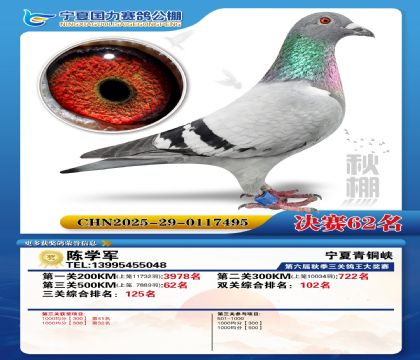 国力秋棚决赛62名