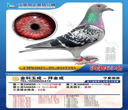 国力秋棚决赛63名