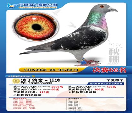 国力秋棚决赛66名