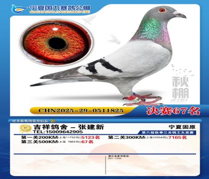 国力秋棚决赛67名