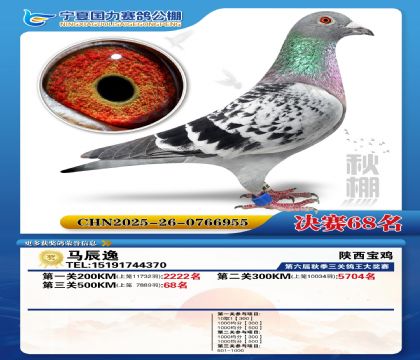 国力秋棚决赛68名