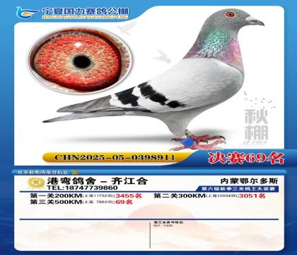 国力秋棚决赛69名