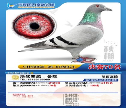 国力秋棚决赛70名